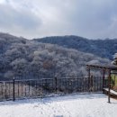 바우바우애견펜션 이미지