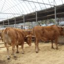 가래울농장 이미지