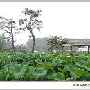 다례원 - 고양시 덕양구 | 다례원
