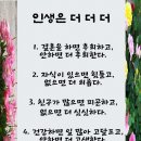 인생은 더 더 더 이미지