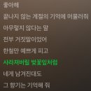 현진세탁소 | 열여덟