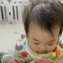 진진토탈 이미지