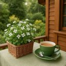 하루하루하루 이미지