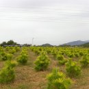 보광농원 이미지