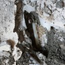 신전경로당 이미지