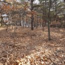 구하2리마을회관 네이버블로그