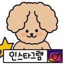 샘펫스튜디오 이미지