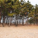 구례포해수욕장(주차장) 이미지