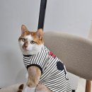 낭낭그루밍 이미지