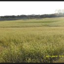 공음농장 이미지