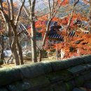 모노라마 이미지