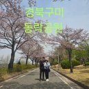 동락공원 자전거안전교육장 | 1095 ​ 경북구미 동락공원