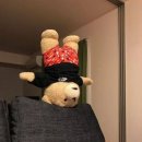 영엔두 | [헤이영 서포터즈] 헤이영 서포터즈 4기 발대식 후기 + (합격 후기)