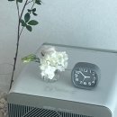 블루밍 플라워 앤 가든 이미지