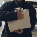 와우종합동물병원 이미지