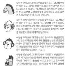 미리보는 내일의 운세(9월5일) 이미지