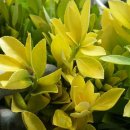 아리농장 이미지