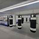 위너복싱 이미지