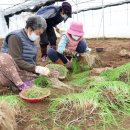 태안농협 로컬푸드직매장