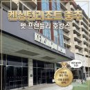 이네애견샵 | [충주 여행] 켄싱턴 리조트 충주, 반려견과 함께한 프라이빗 로열스위트 1박 솔직 후기
