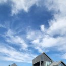 선흘별숲 이미지