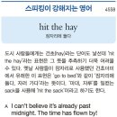 hit the hay (잠자리에 들다) 이미지