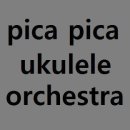 PICA PICA 이미지