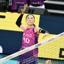 흥국생명 이미지