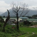 학산농장 이미지