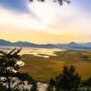 순천만습지 이미지