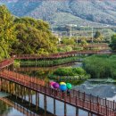 청도 장연리 수변생태공원 이미지
