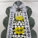 맨디데이즈 이미지