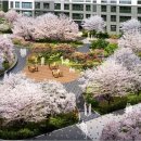 장성침촌지구근린공원 이미지