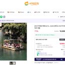 11545-03-31-16 | 제주 쇠소깍 테우 예약 서귀포인정 &amp; 1주차장 꿀팁! 카약보다 좋았던 후기 (아이와 코스)