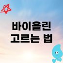 현란한 현의예술 , 바이올린 | 바이올린 고르는 법 알려드려요