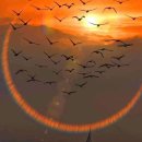 행신약국 이미지