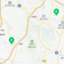 포레스트 13월 이미지