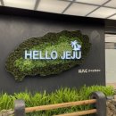 제주공항 근처 호텔더원에서 1박 후기(제주도 여름 휴가 시작 7/30~8/3)