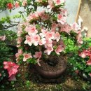 만수2동-1 이미지