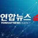 엠에스애드 이미지