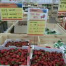 알음알음제주 이미지