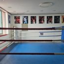 SEAL복싱클럽 이미지