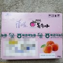 영덕싱싱농원 네이버블로그