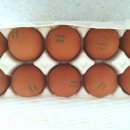 청미래 농장 이미지