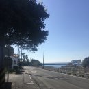 새솔민박 이미지