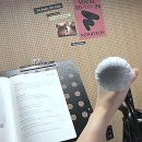 예정곡 | 목소리라는 나만의 악기를 찾아서: 강남보컬학원 투어 후기