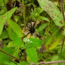 김행종의집 이미지