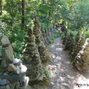 고단1리 이미지