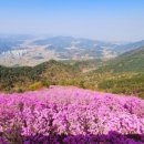 소계동124 이미지