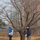 11650-17-195-1 | 인천그랜드CC 라운드 후기_여전히 날씨는 좋더라